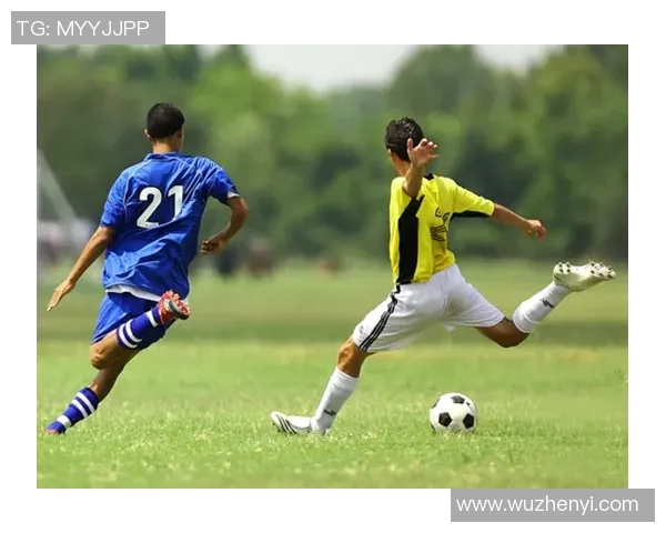 足球樊齐：探索中国足球的未来与挑战，重塑球迷心中的热爱与梦想